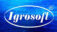 Igrosoft logo